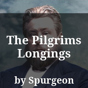 The Pilgrims Longings