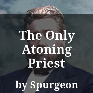 The Only Atoning Priest