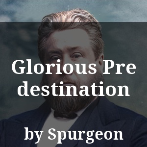 Glorious Predestination