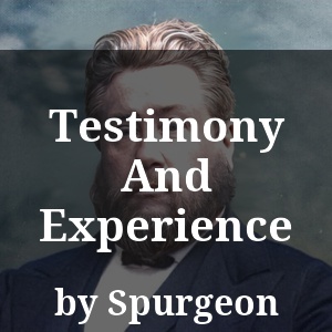 Testimony And Experience