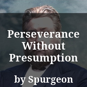 Perseverance Without Presumption