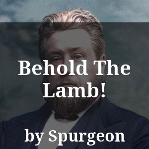 Behold The Lamb!