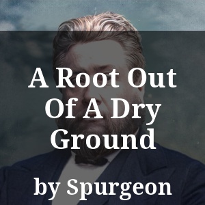 A Root Out Of A Dry Ground