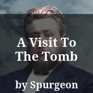 A Visit To The Tomb