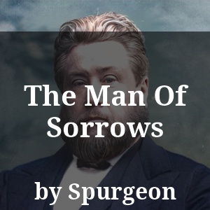 The Man Of Sorrows