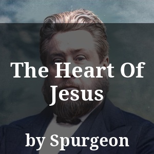 The Heart Of Jesus