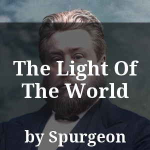 The Light Of The World