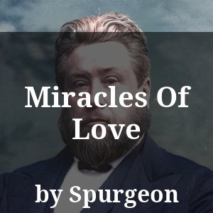 Miracles Of Love