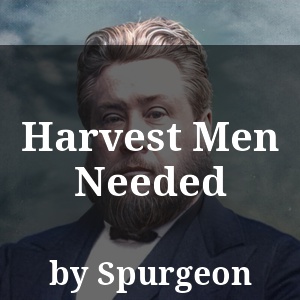 Harvest Men Needed