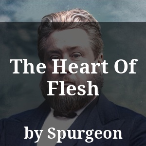 The Heart Of Flesh