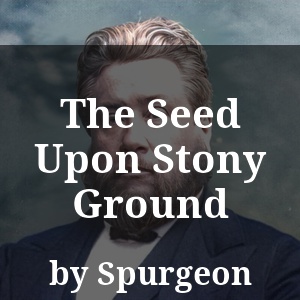 The Seed Upon Stony Ground