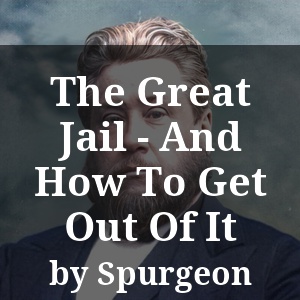 The Great Jail - And How To Get Out Of It