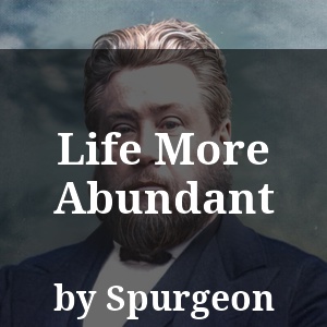 Life More Abundant