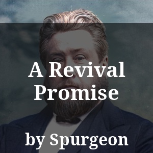 A Revival Promise