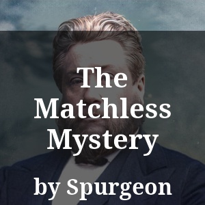 The Matchless Mystery