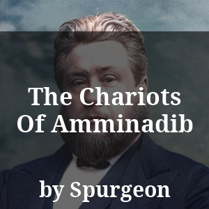 The Chariots Of Amminadib