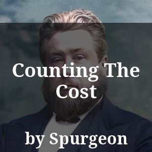 Counting The Cost