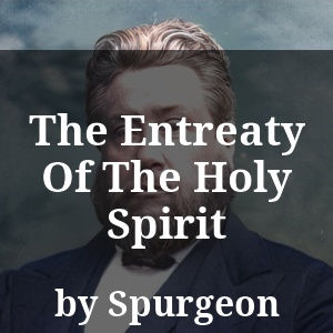 The Entreaty Of The Holy Spirit