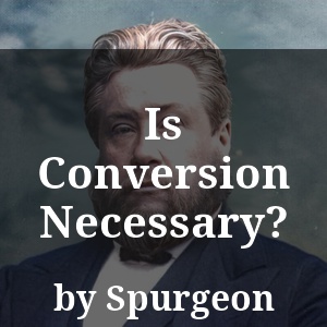 Is Conversion Necessary?