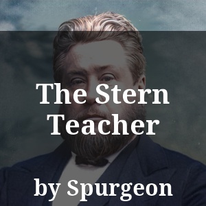 The Stern Teacher