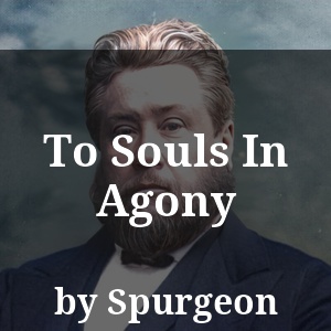 To Souls In Agony