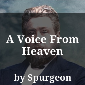 A Voice From Heaven