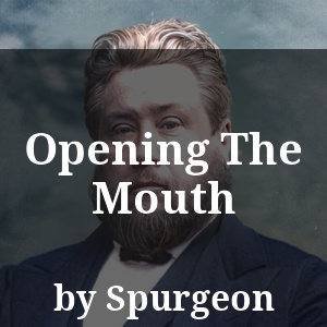 Opening The Mouth