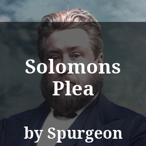 Solomons Plea