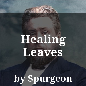 Healing Leaves