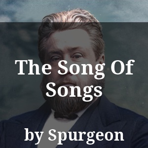 The Song Of Songs