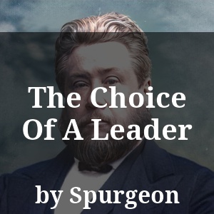 The Choice Of A Leader