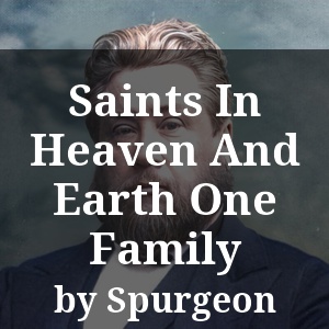 Saints In Heaven And Earth One Family