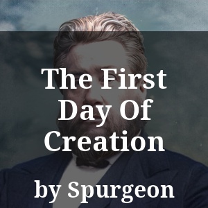 The First Day Of Creation