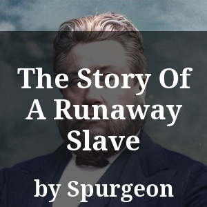 The Story Of A Runaway Slave