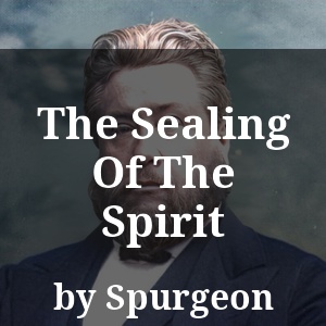 The Sealing Of The Spirit