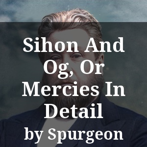 Sihon And Og, Or Mercies In Detail