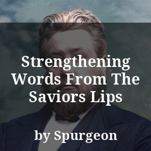 Strengthening Words From The Saviors Lips