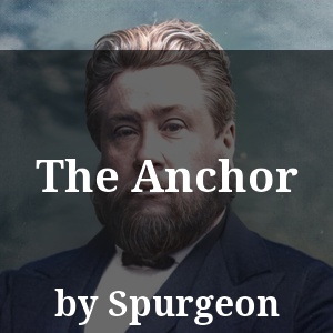 The Anchor