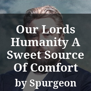 Our Lords Humanity A Sweet Source Of Comfort