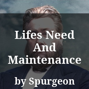 Lifes Need And Maintenance