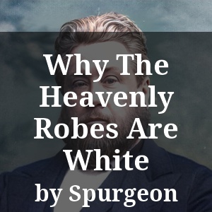 Why The Heavenly Robes Are White