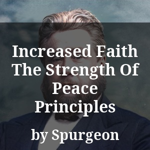 Increased Faith The Strength Of Peace Principles