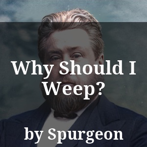 Why Should I Weep?