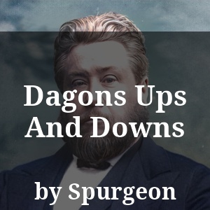 Dagons Ups And Downs