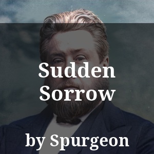 Sudden Sorrow