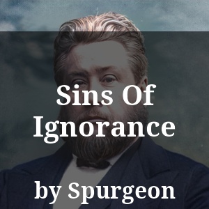 Sins Of Ignorance