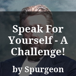 Speak For Yourself - A Challenge!