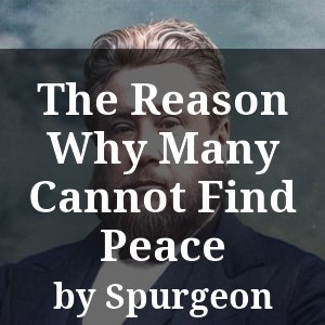 The Reason Why Many Cannot Find Peace