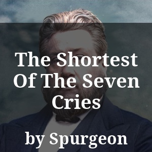 The Shortest Of The Seven Cries