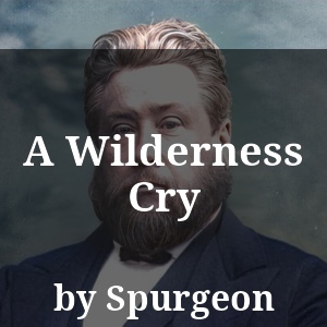 A Wilderness Cry